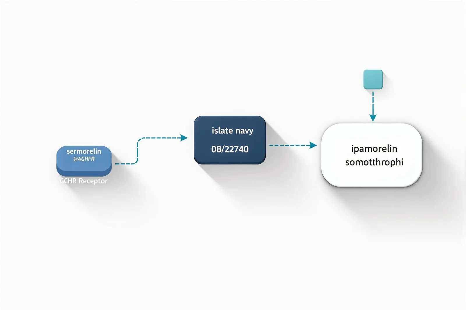 Comparison data-flow diagram on cool off-white — a blue sermorelin route through a GHRH receptor and a teal ipamorelin route through a ghrelin receptor converging on a single somatotroph card that emits GH